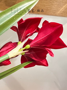 仿真花红色朱顶红君子兰花郁金香花束摆件装饰礼物花箱插花素材