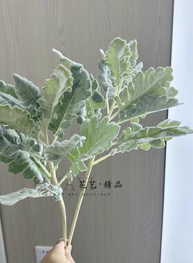 仿真银叶蕨圣诞叶插花羊角叶