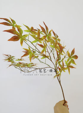 加密渐变色枫叶橘色红色绿色枫树枝叶仿真叶材园林景观装饰插花