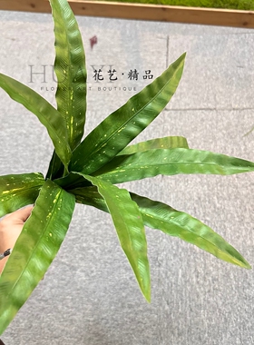 仿真绿植巢蕨叶斑点鸟巢叶丛状装饰盆栽花艺软装爬宠缸造景植物