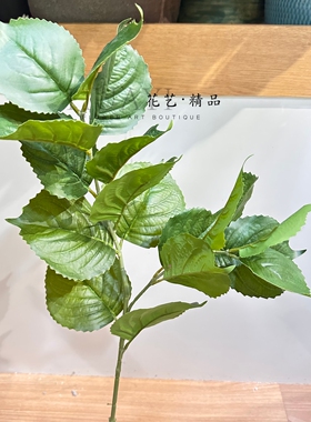 仿真绣球叶创意礼物家居装饰绿色植物叶材室内装饰枝条摄影道具