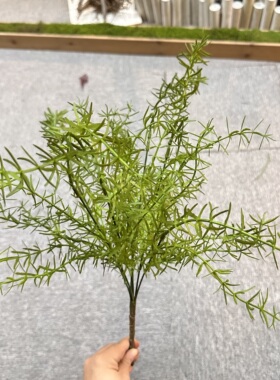 灰绿色造景摆件植物花卉松针天门冬花艺道具仿真水草松草