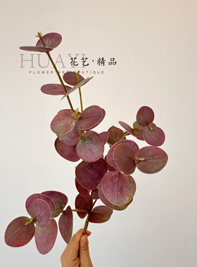 红叶金钱叶仿真尤加利叶北欧风家居装饰摆件插花素材