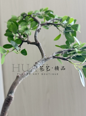 花艺精品仿真米仔兰叶榕树叶