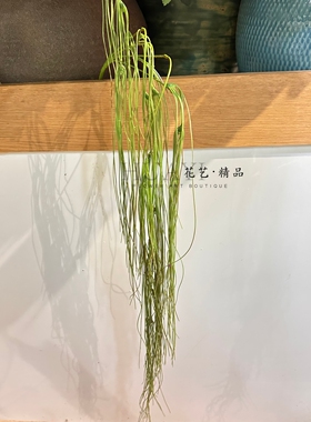 悬挂植物墙面装饰仿真绿植仿丝苇钢草水草芦苇侘寂风老人须空气草