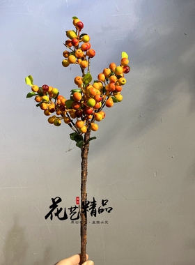 仿真蓝莓果红果浆果绿色北美花瓶
