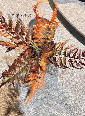 复古渐变橘红色系波士顿蕨仿真波斯草肾蕨芒萁爬宠装饰造景植物