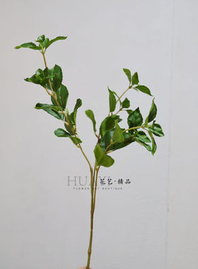 仿真薄荷叶尤加利叶桉树叶绿叶枝条摆件客厅装饰品花艺绿色植物