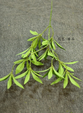 马醉木叶大树装饰叶材仿真树叶装饰性绿叶植物造景拍摄道具