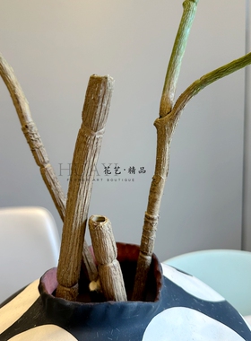 线条造型花艺植物仿真南天竹叶绿植