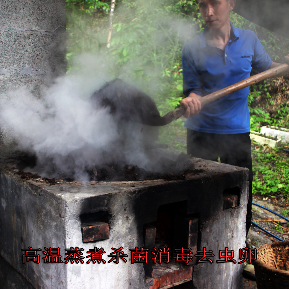 武陵兰苑腐叶土兰草君子兰营养土有机腐叶土无污染君子兰腐殖土-图1