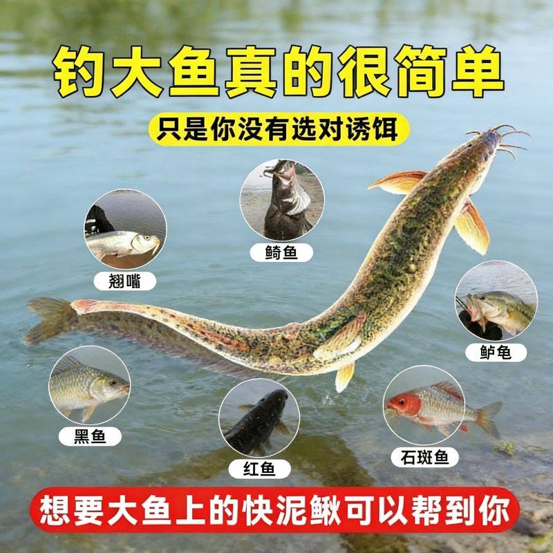 泥鳅苗鲜活喂养宠物钓鱼龙鱼活饵乌龟饲料泥鳅养殖淡水观赏鱼垂钓,淘宝优惠券,粉丝福利购,淘宝优惠卷