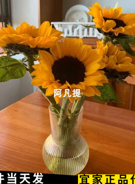 ikea宜家普德拉格花瓶厘米家用