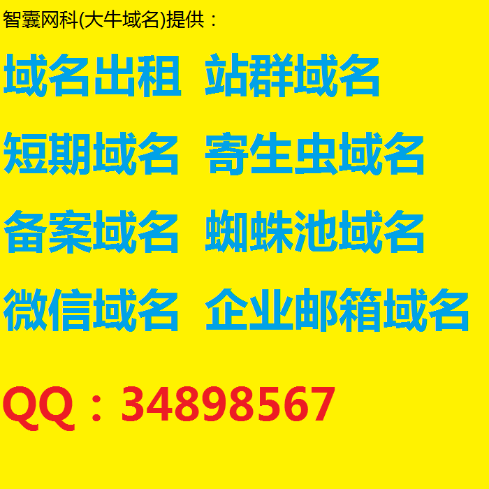 二级临时域的名短期域便宜域的名二手闲置老域的名转让站群域m名