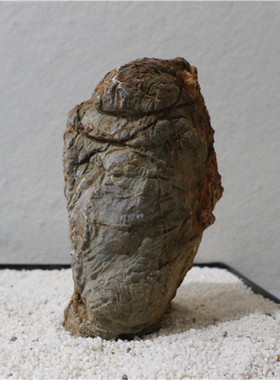 灵璧石莲花瓣原石精品象形石人物石老人褶皱天然奇石岁月沧桑B4