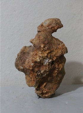 精品灵璧石摆件人物石象形石天然奇石原石毛石米芾拜石A5