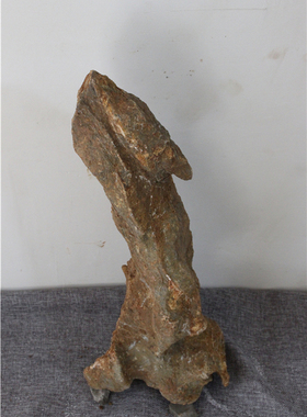 摆件生命之源案头石