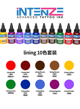 lining 10色套装银单丝纹身彩色色料刺青颜料中艺纹身器材总代理