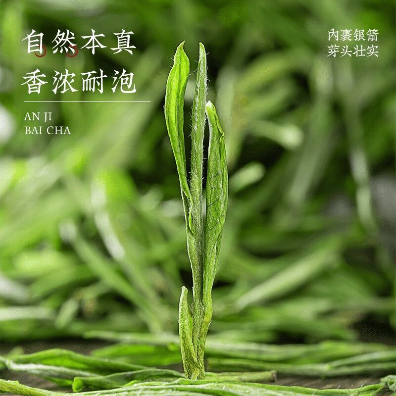 正宗安吉白茶新茶特级精品明前绿茶头采白茶正品浓香嫩芽袋装茶 - 图1