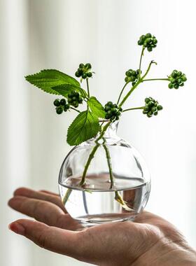 欧式新款透明玻璃插花花瓶小口径干花水养一枝花餐桌客厅家居摆件