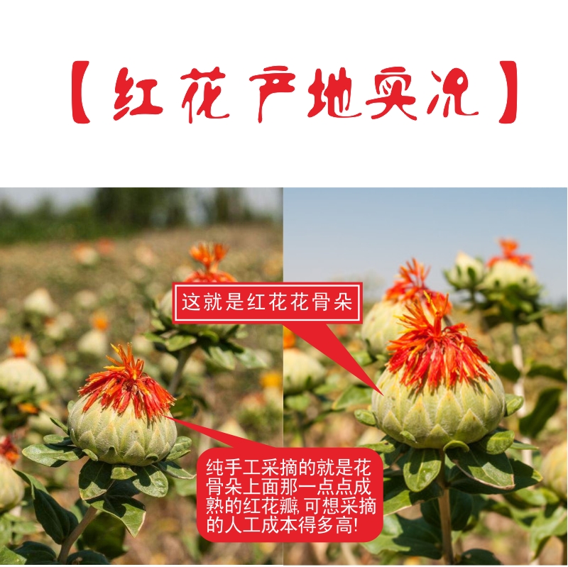 新疆红花特级药用泡茶泡酒泡脚泡澡草红花500克产地正品发货包邮 - 图2