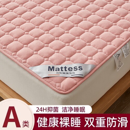 A类四季床垫榻榻米软垫床褥垫被褥子防滑席梦思床护垫床单床笠罩 - 图3