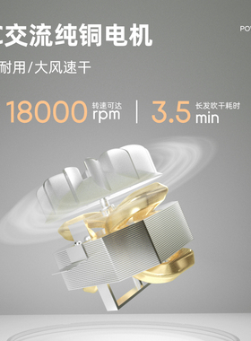 AIOLOS大功率理发店专用吹风机