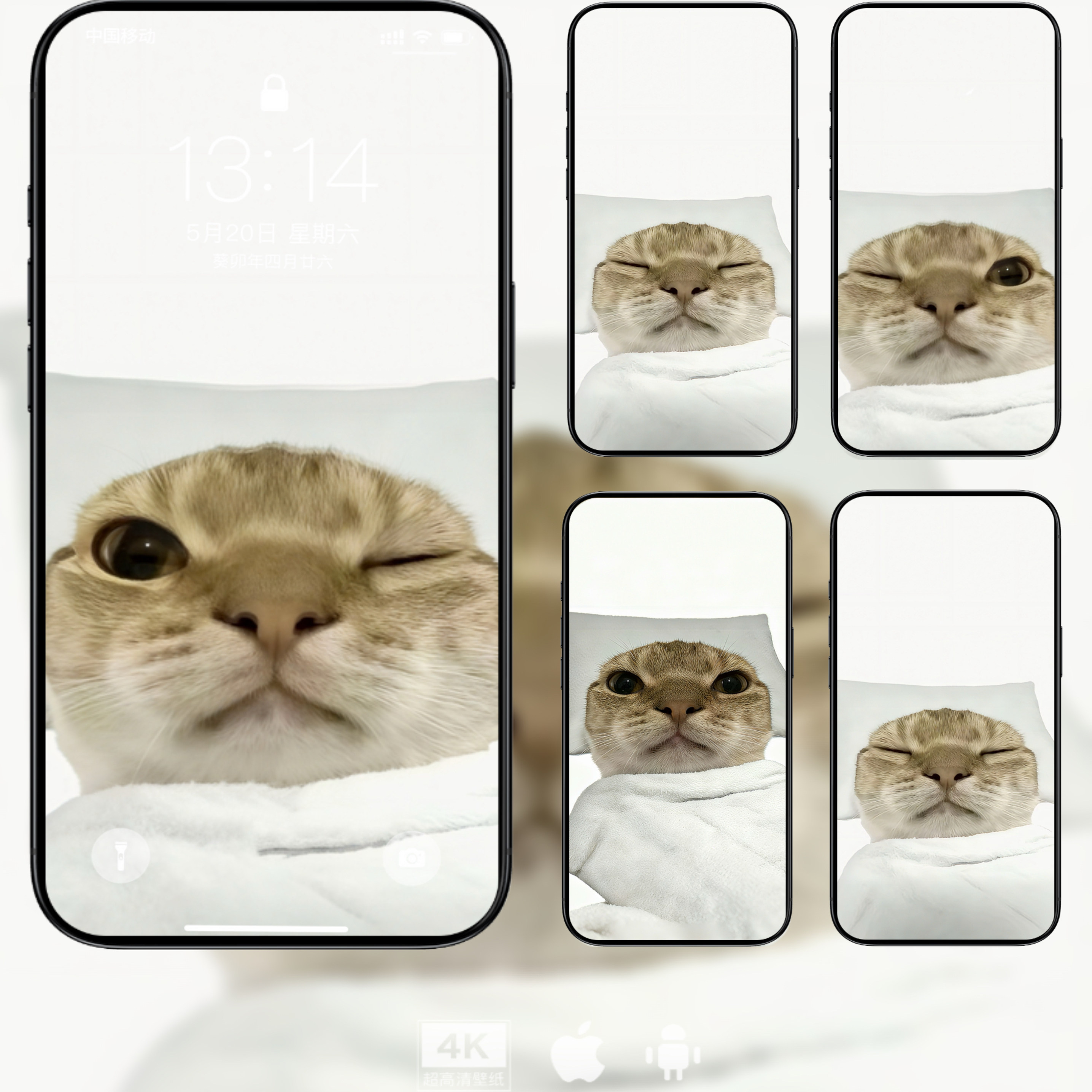 200张光栅壁纸4K超清春夏秋冬美女4张vivo手机OriginOS6视频oppo,淘宝优惠券,粉丝福利购,淘宝优惠卷