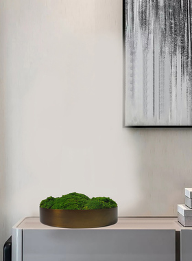 新中式仿真微观绿植枯山水盆景