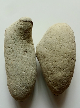 天然海洋生物拉氏大眼蟹原石