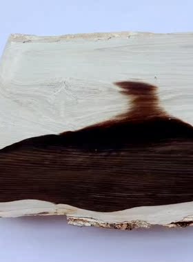 树化石稀有黑白花品类观赏收藏