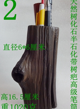 稀有树化石带树疤精美笔筒化石