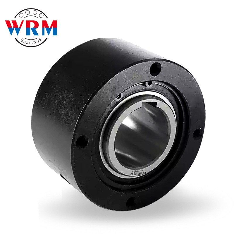 WRM单向传动离合器BS30 BS50 BS65 BS75 BS85 BS95 BS110 BS135 - 图2