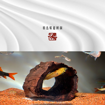 Two-horse small and medium sunken wood shelter from hole Alien fish rat fish Sanhu Climbing Terrace natural Purple Grapefruit tree hole