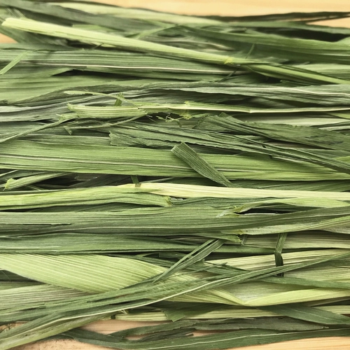 Бесплатная доставка зеленая овсяная камея сечение кролика Тоторо Голландская свинина и пастырская трава вместо Timothyca Net Вес 500G