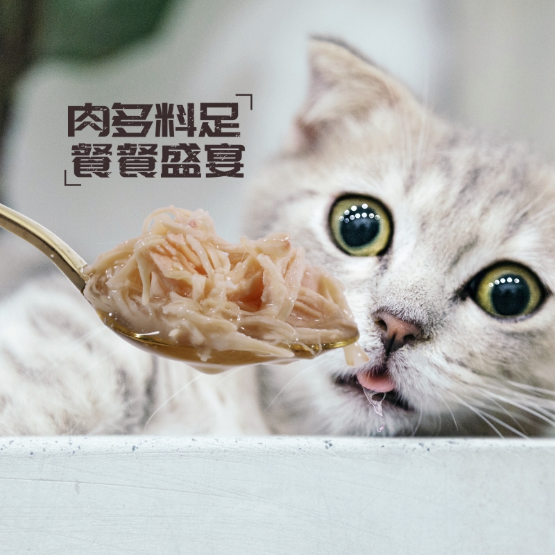 cheershare成猫全阶段罐装湿粮畅舒海洋鱼猫咪补水鱼汤罐 - 图2