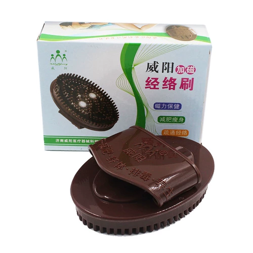 Meridian Weiyang Home Cosmetic Brush