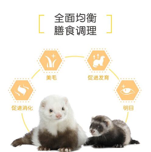 包邮 安哥鲁幼年貂粮 2磅全年龄 宠物雪貂 安格鲁玛雪儿通用饲料 - 图0