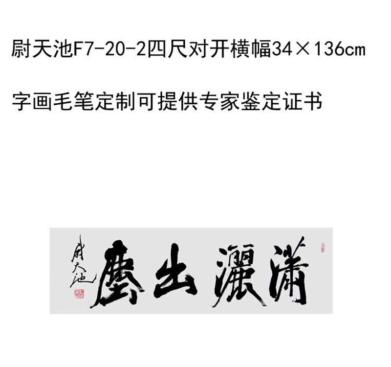 临摹手写尉天池书法题字34×136cm名人字画名家毛笔临摹定制可选 - 图3