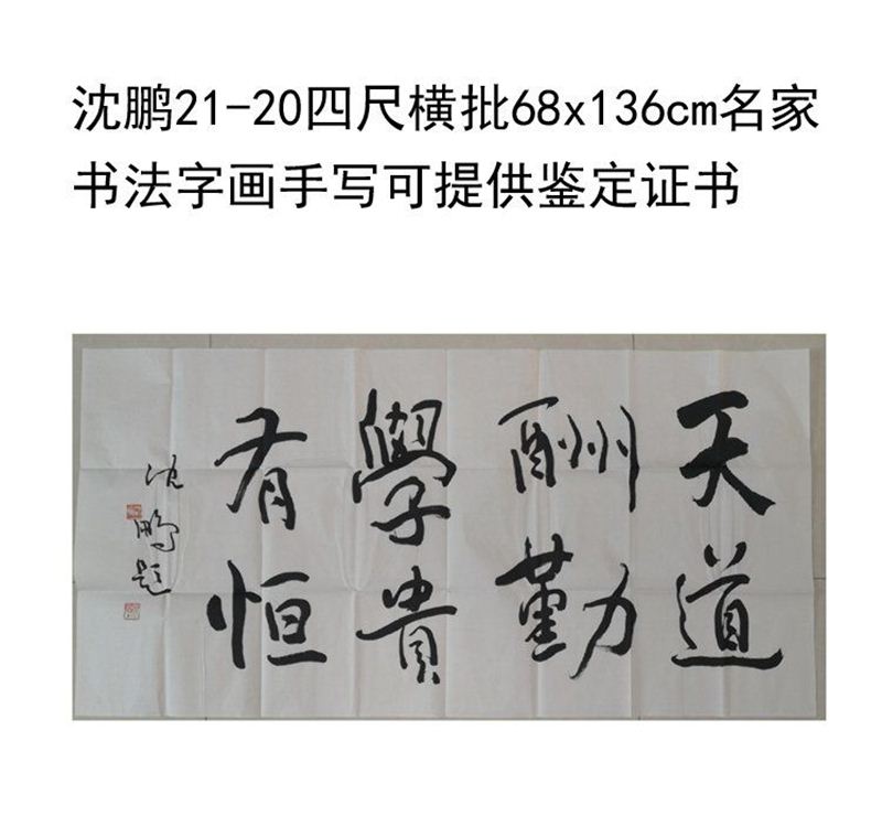 临摹手写沈鹏书法四尺横批68x136cm名家名人字画题字收藏可选鉴定 - 图3