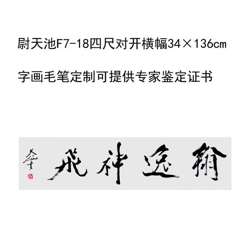 临摹手写尉天池书法题字34×136cm名人名家字画收藏毛笔定制可选 - 图3