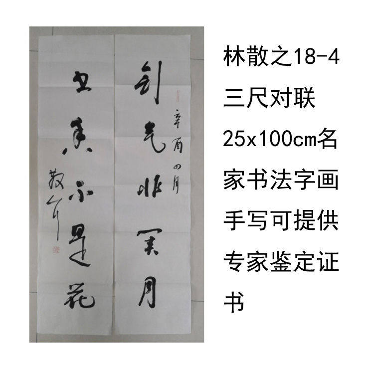 临摹手写林散之书法三尺对联25x100cm名家题字名人字画收藏可提供