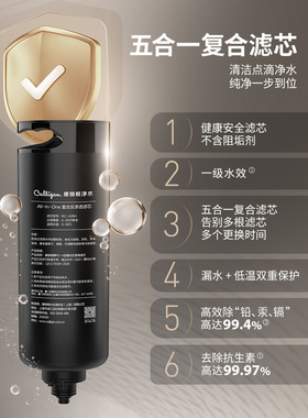 康丽根RO反渗透小黑龙瞬间加热