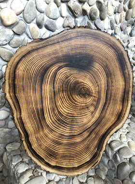 圆木片diy手绘装饰原木片碳化