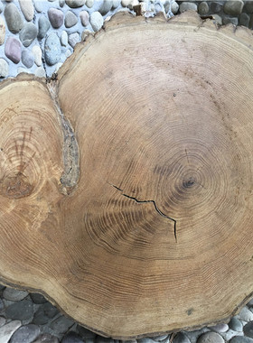 黄义手绘背景墙diy年轮原木片