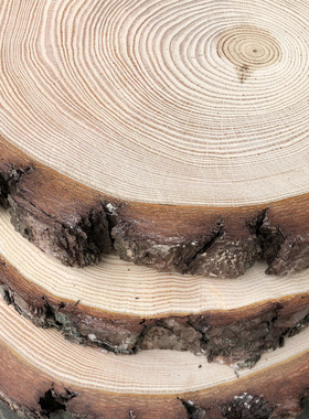 黄义原生态树木片装潢DIY手工