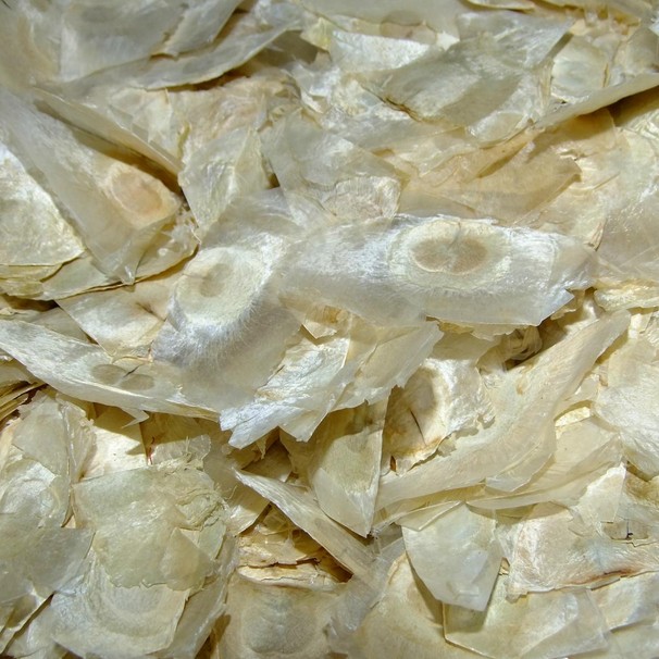 千张纸 2斤包邮 玉蝴蝶 木蝴蝶 中药材供应 500g克35元 市场