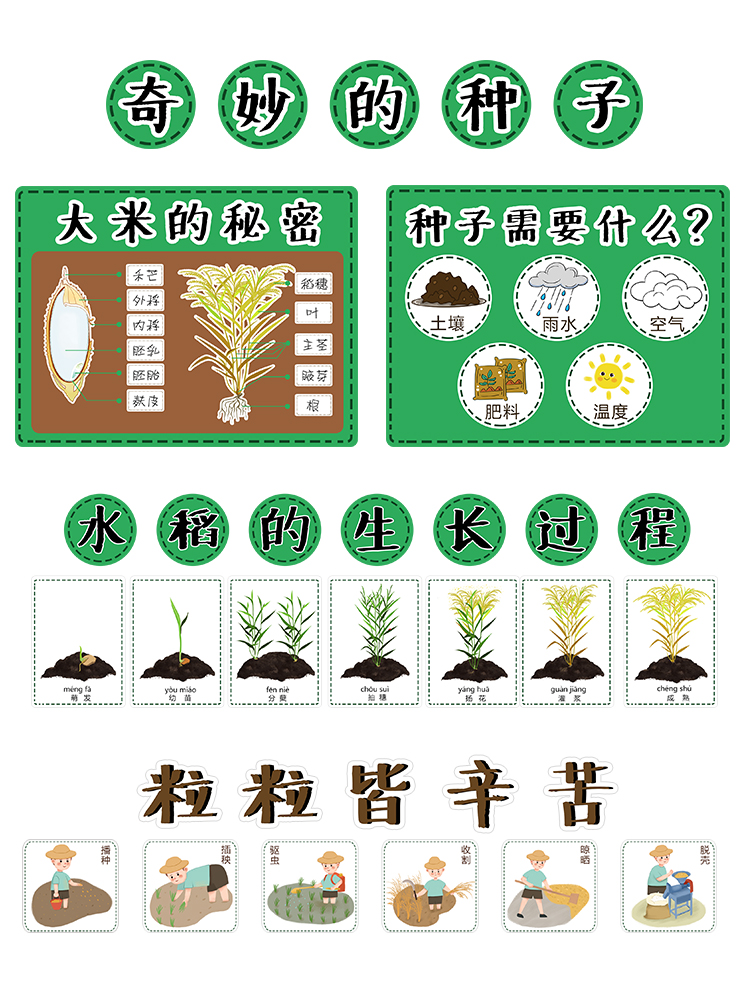 幼儿园手工制作材料半成品玩教具自制区域科学区植物区种子装饰-图2