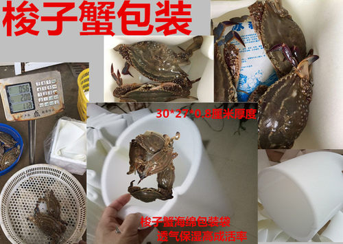 包海鲜波龙防刺破海绵/梭子蟹青蟹草莓米白色垫片2 0*30*1厘米 - 图2