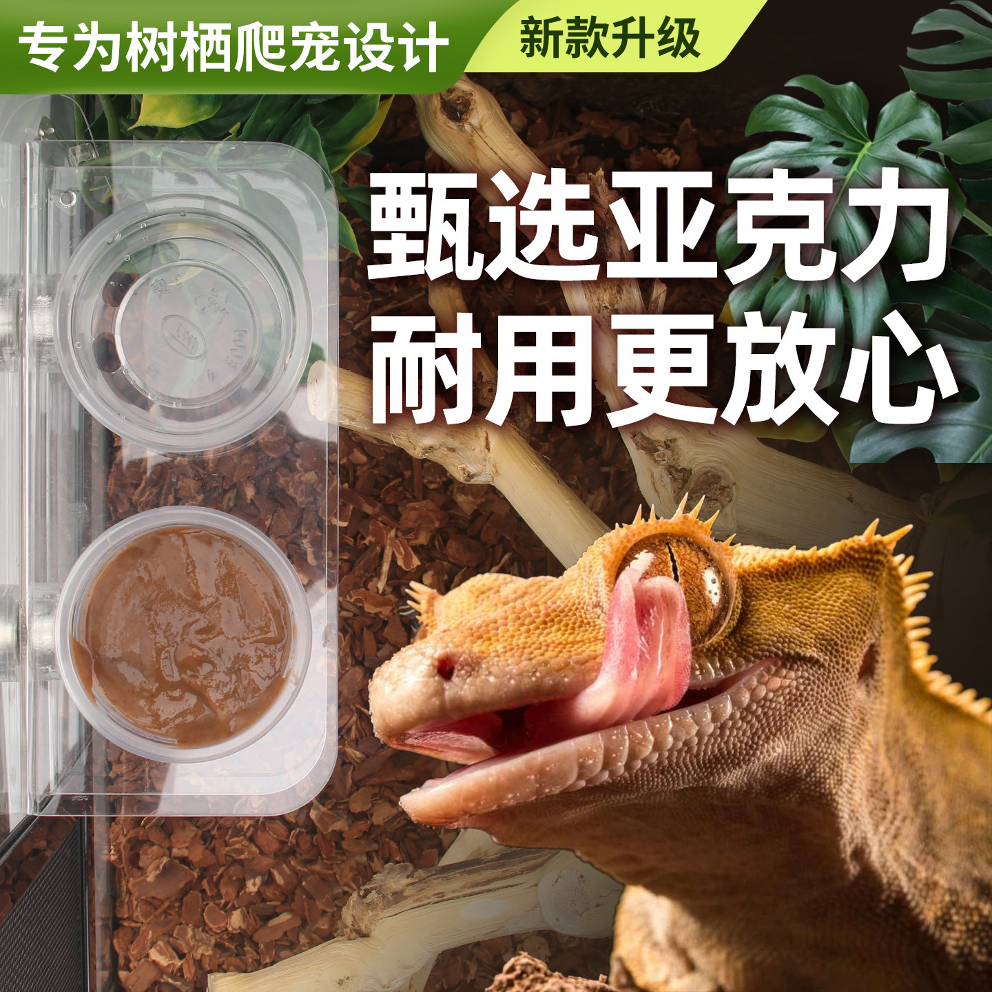 Reptile giant R genus gecko transparent hanging magnetic puree water basin feeder arboreal double basin